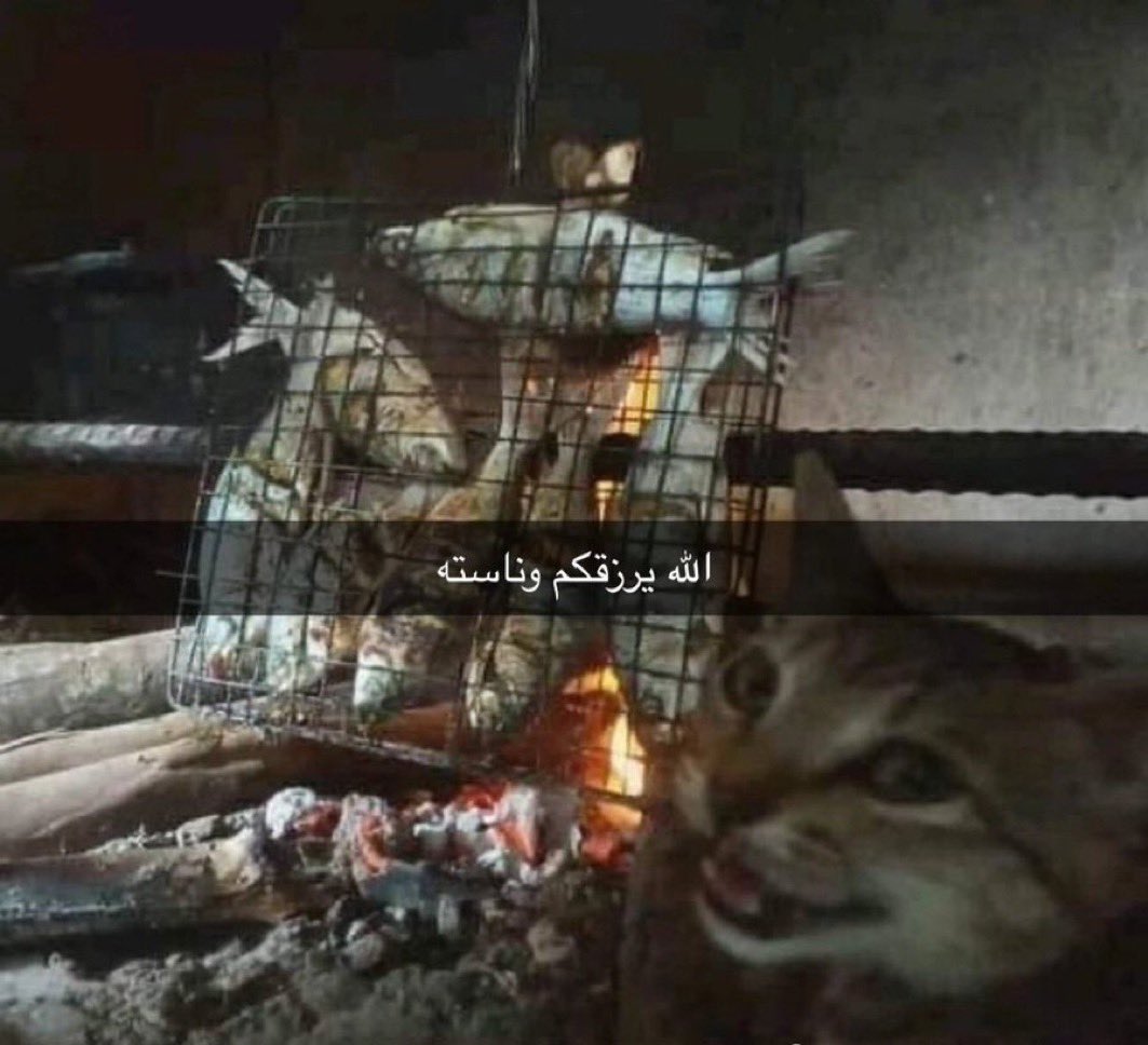 دراغون بول خارج السياق (@dbapolice) on Twitter photo 