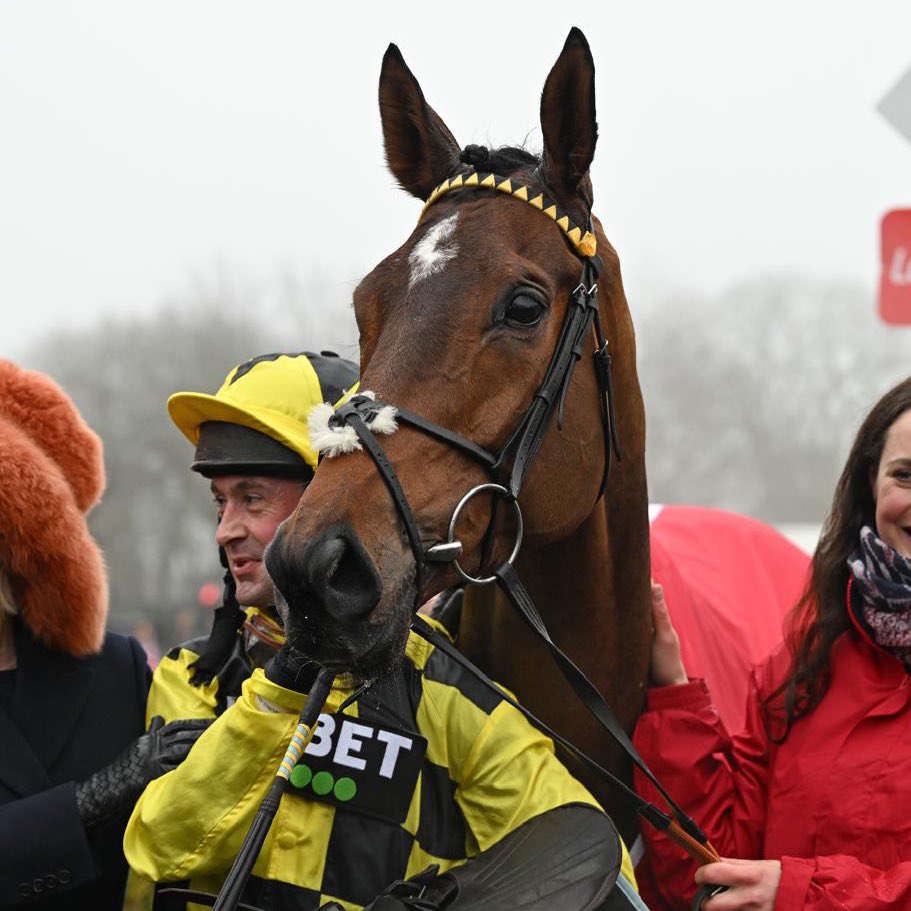 GBRacing's tweet photo. Sir Gino is reported to be comfortable and stable ❤️

It has been confirmed that he suffered a fractured pelvis and examinations over the next few days will determine any prognosis. 

Thinking of Sir Gino and the team at @sevenbarrows. https://t.co/8qt2sQR8jM