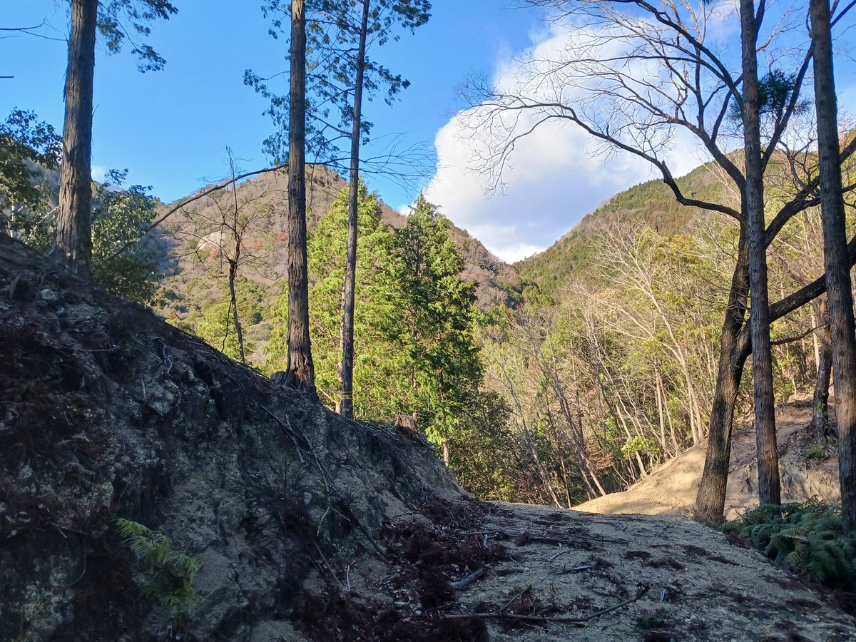 いんかく (@_enkohearts_) / Posts / X