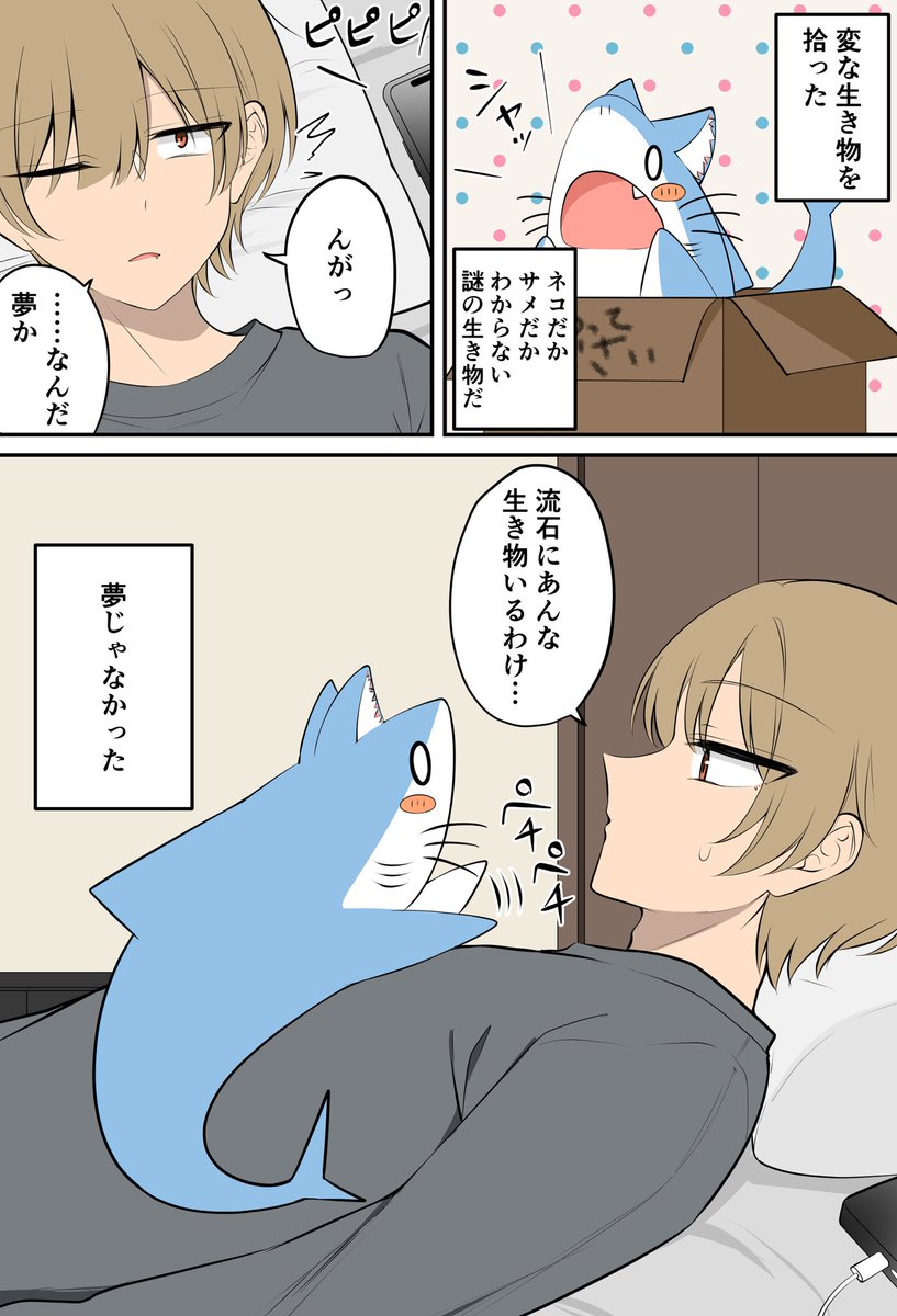 ✲゜*。⋆可愛いയウエア上下*✲゜*。⋆ かわいいwwwwwwwww