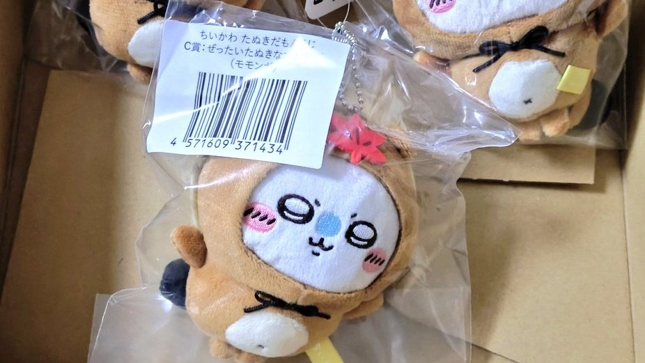 ぽち子 tweet media