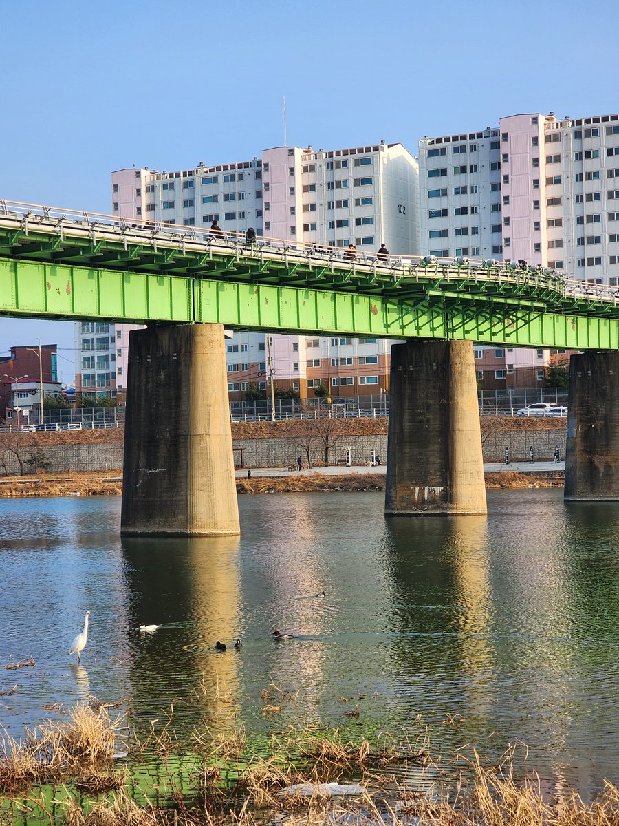 5488aaa's tweet image. 강릉
남대천