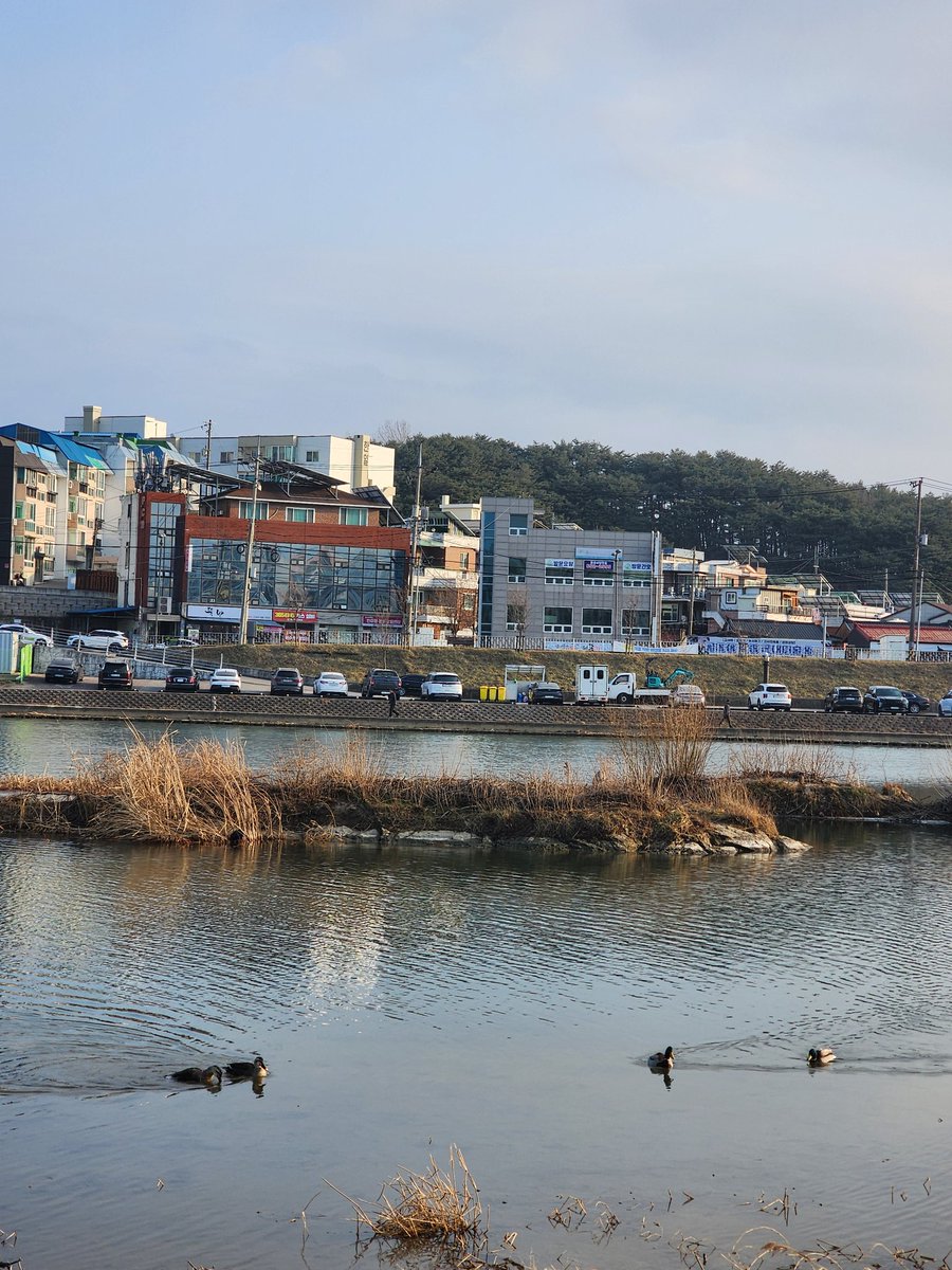 5488aaa's tweet image. 강릉
남대천