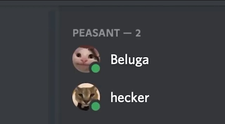 Me in 2021 instead of preparing for jee😭