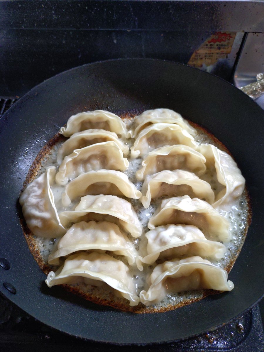 ulcyborg's tweet image. ぎょざ