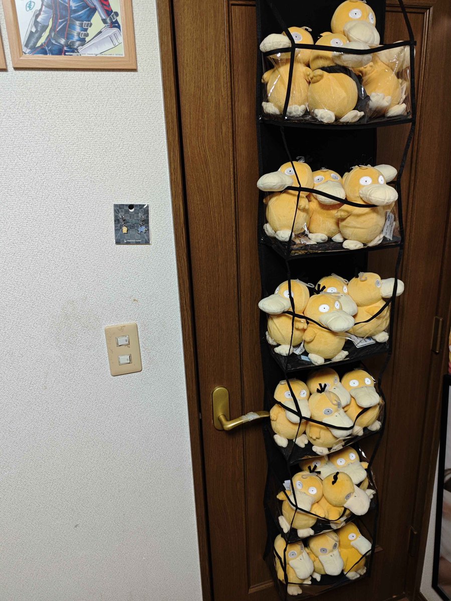 こだの素完成しました。
みっっっちみちで笑う……
もう1個買って2人ずつくらいで住んで貰うかぁ