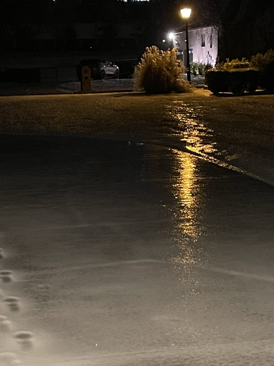 Deborah Varallo tweet media