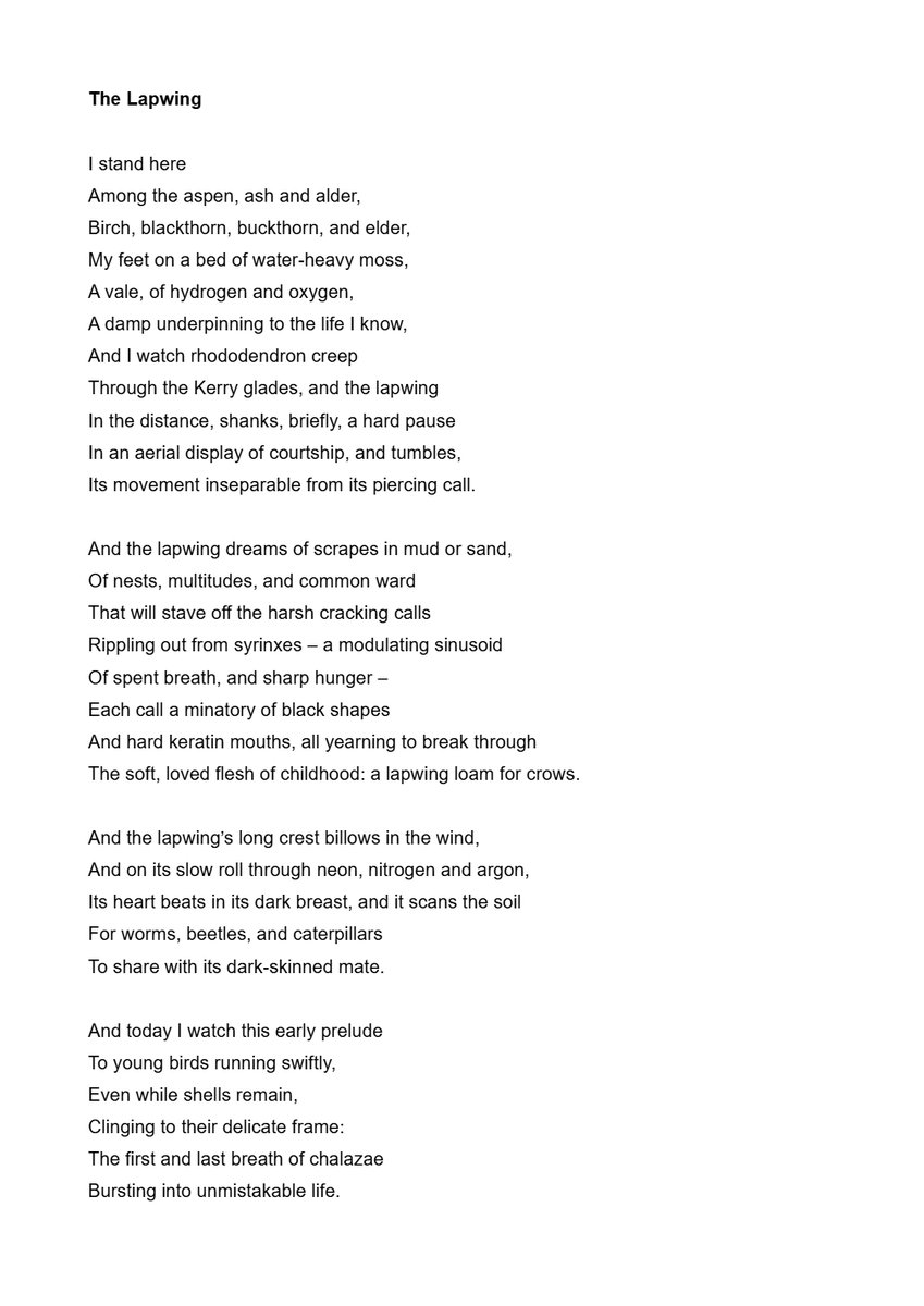 NorthernGravy tweet media