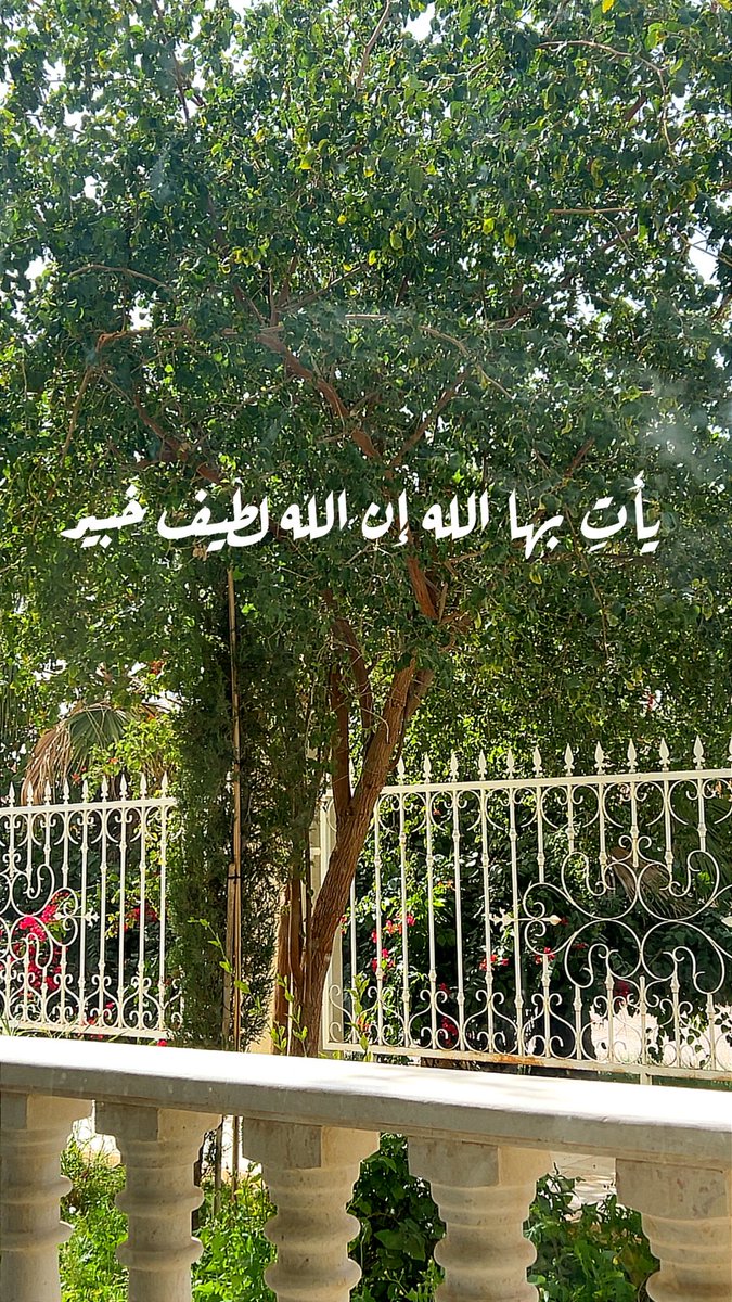 <a href="/umnosaibah/">ام نسيبة</a>