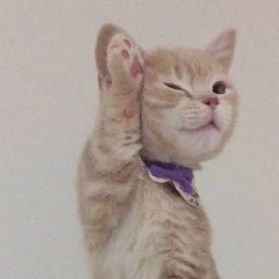 withhercrush's tweet image. น้องต้าเปนแมวววววววววววว🐱