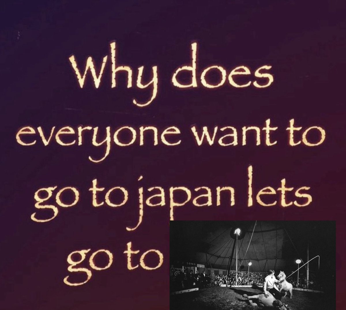 fontaines files tweet media