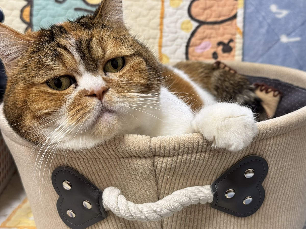 JZ5 (@jz5) / Posts / X