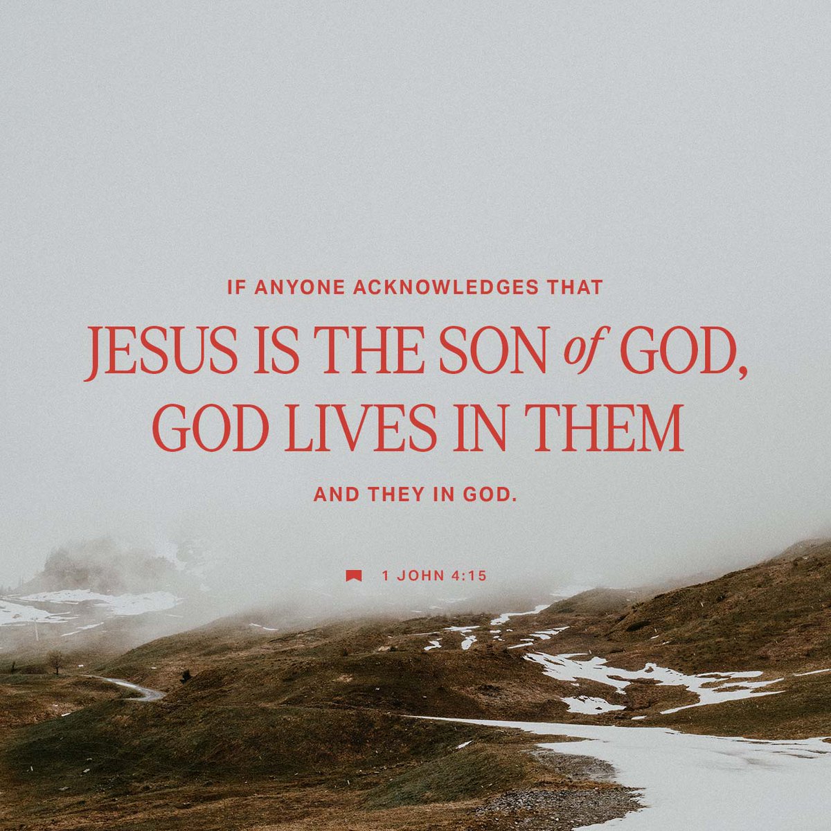 YouVersion's tweet image. 1 John 4:15