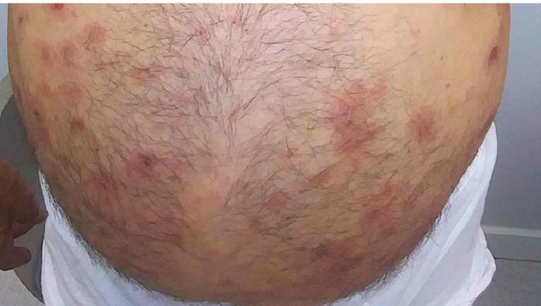 Rosa Taberner tweet media