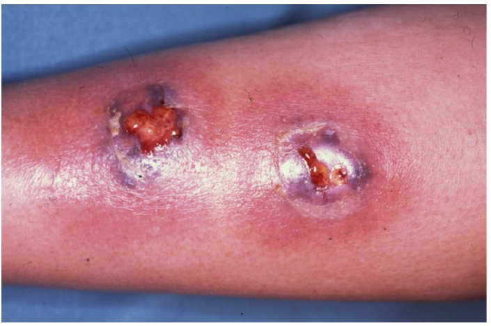 Rosa Taberner tweet media