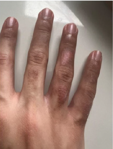 Rosa Taberner tweet media