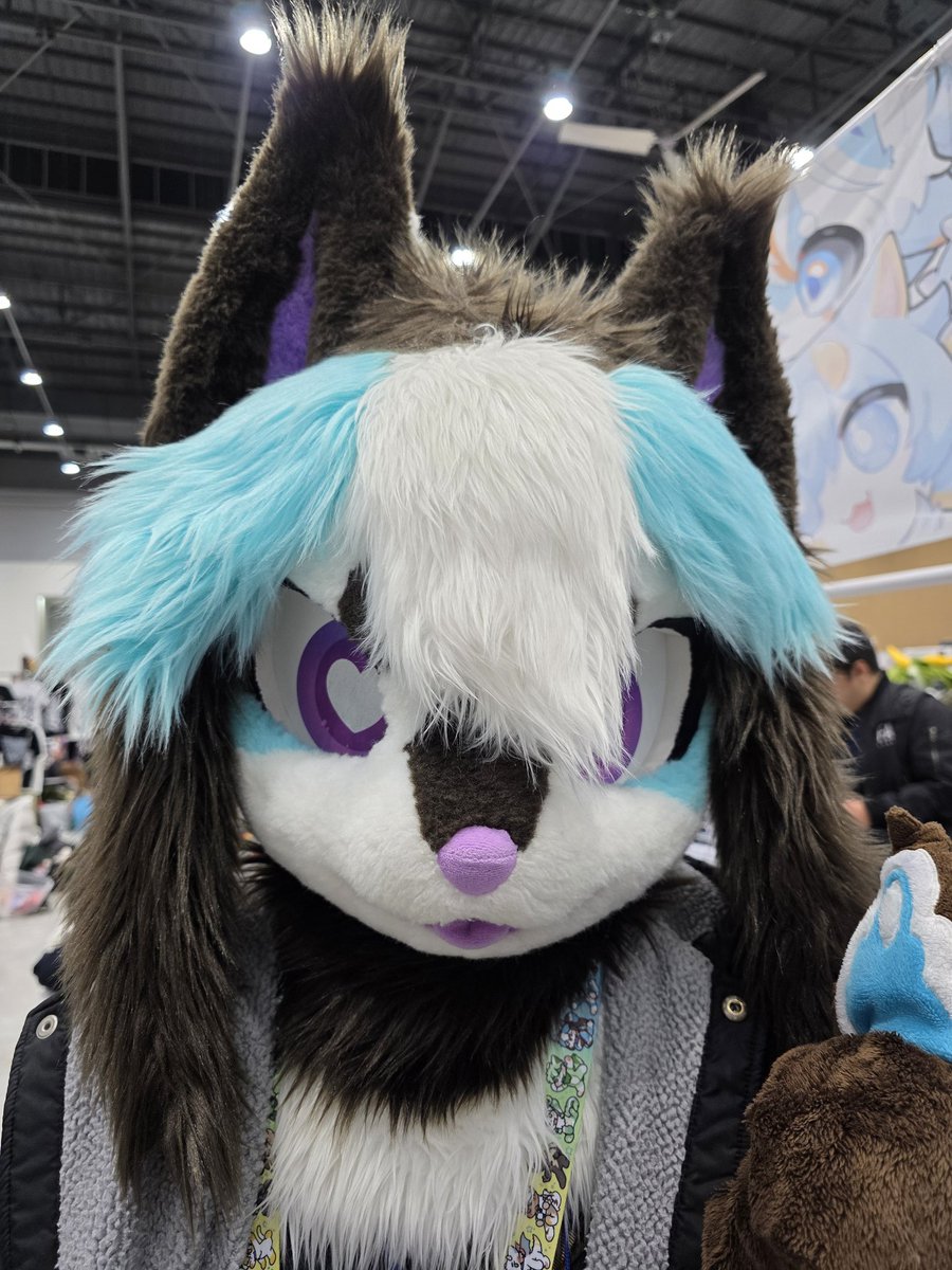 루인아크_수인계 tweet media