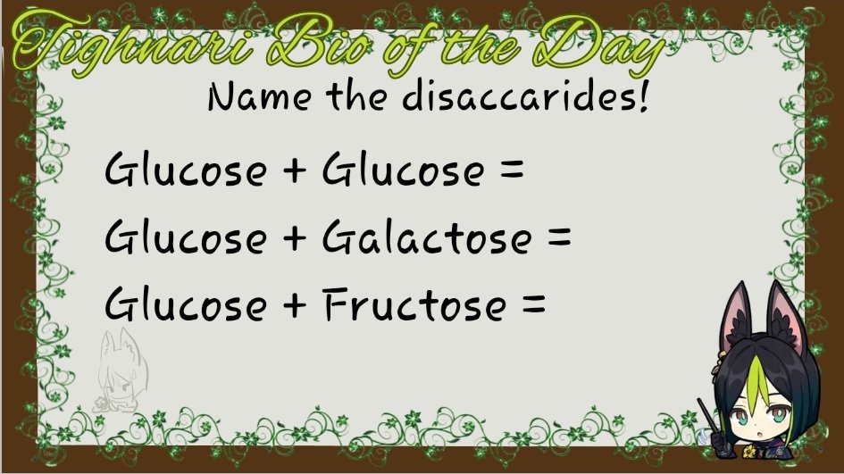 TighnariBioOTD's tweet photo. Tighnari Biology OTD day 2!

Name the 3 disaccarides! Simple! Considering ones a genshin characters name. https://t.co/skv2nVmwPA