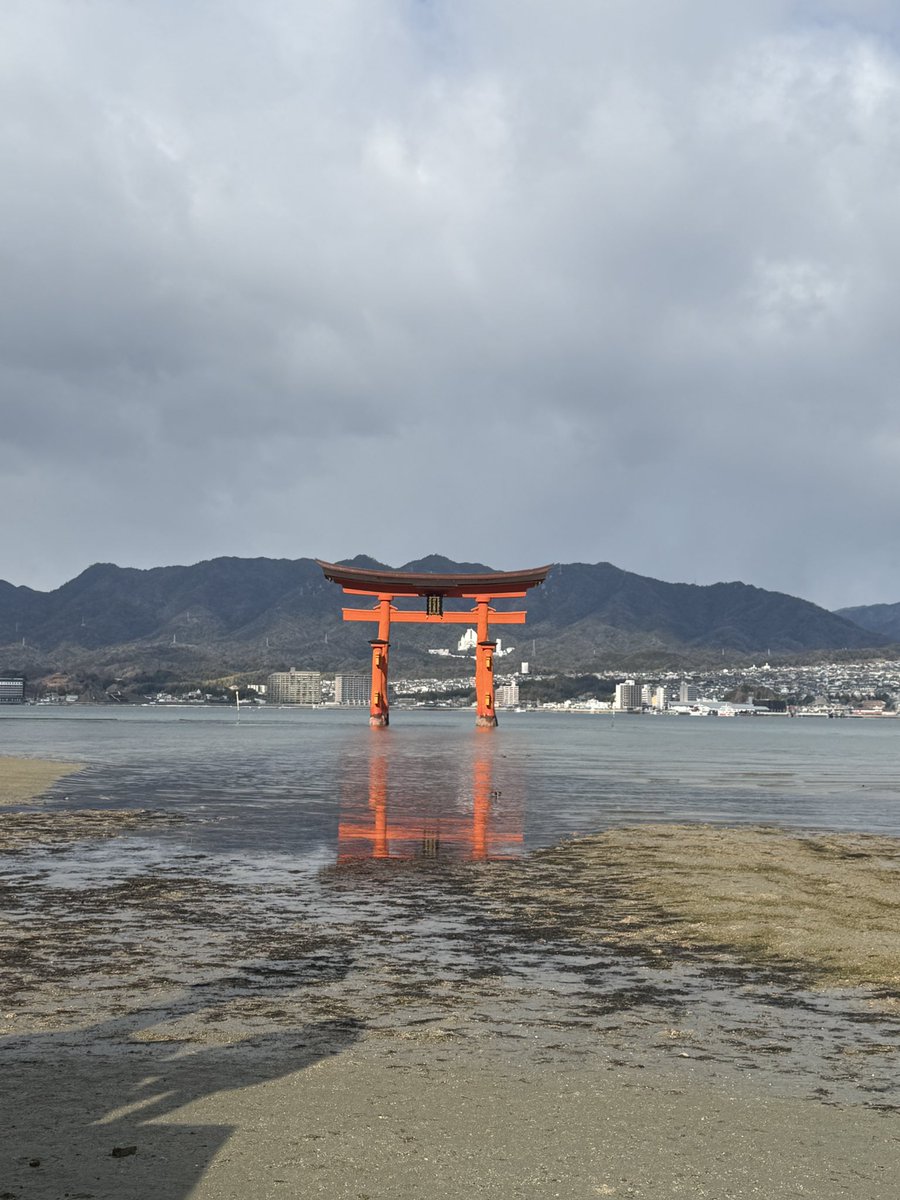 旧マサライコネン7（アカウント乗っ取られた tweet media