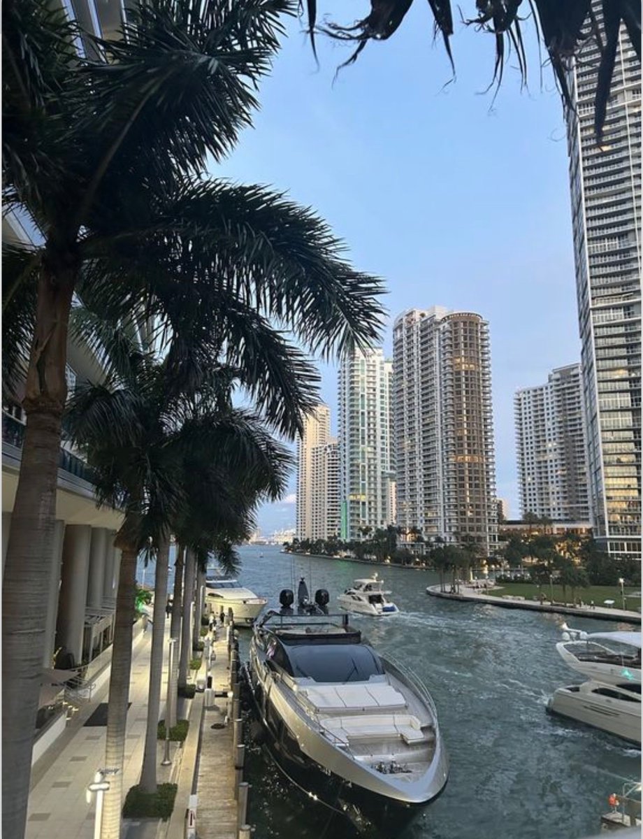 WORLD 2026 🌊 tweet media