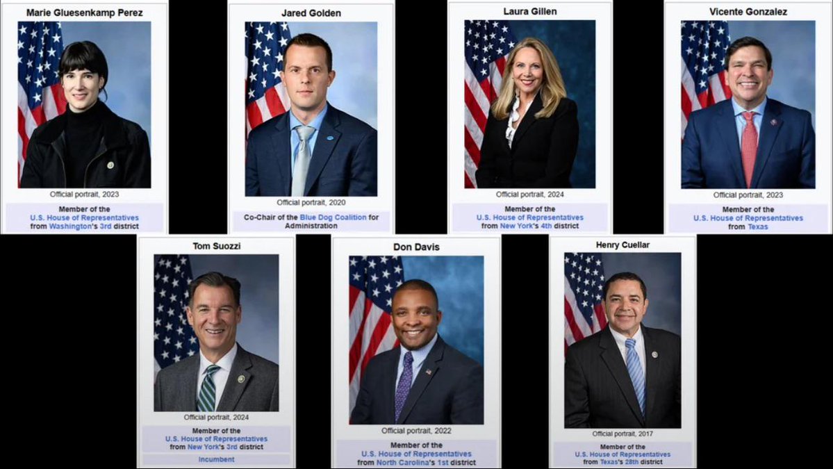Richard_ezio's tweet image. These Are 7 Democrats Who Voted to Approve ICE Funding…

Remember to vote them out in 2026!