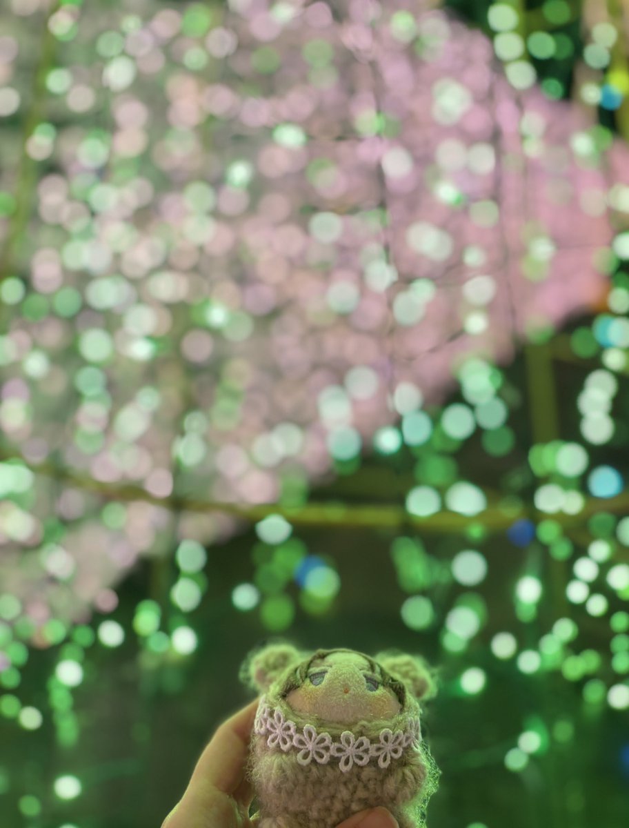 Post by おもち️️️🌸 on X: ✨!!