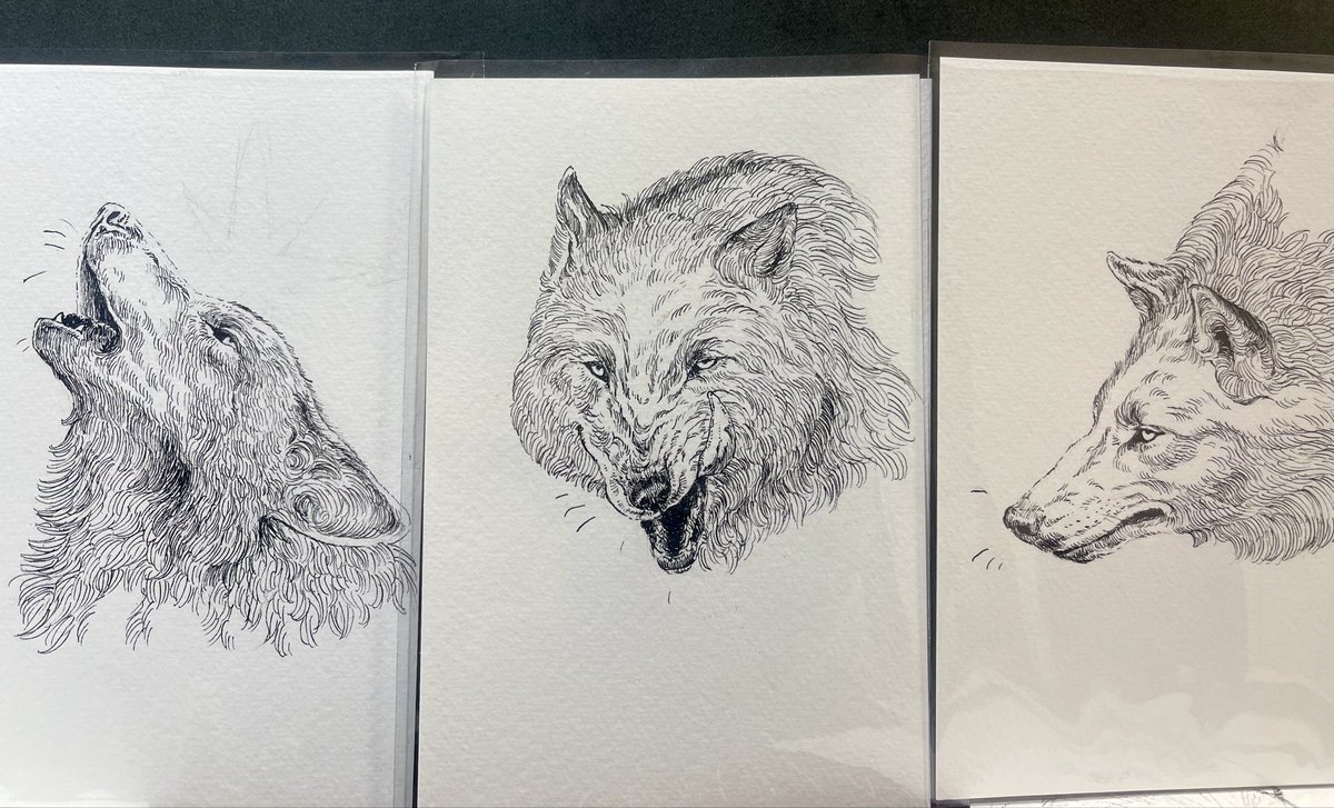 目つきの悪いオオカミさん #原画市_制作中 1枚描いたら良い感じなので