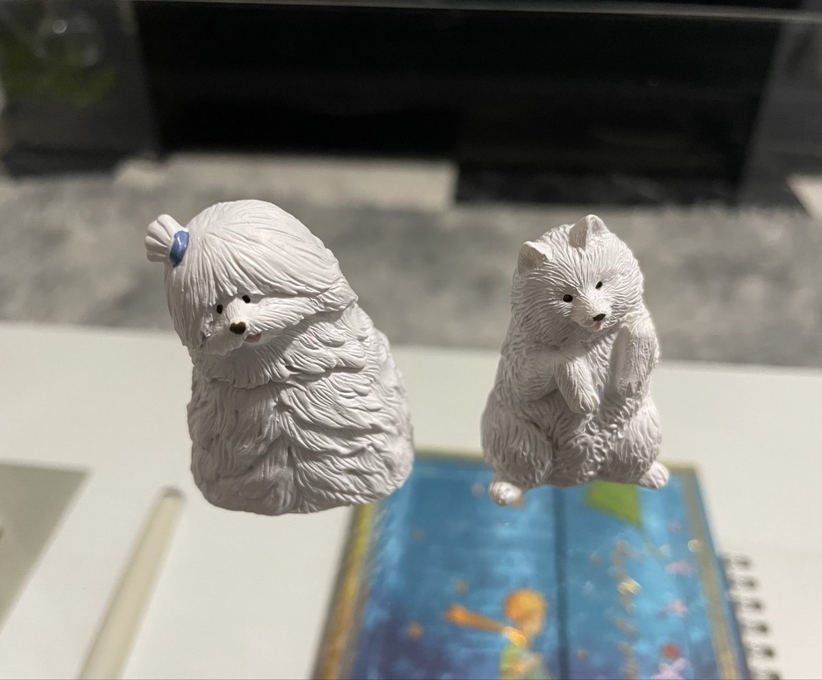 天神にある好きな雑貨屋さんで仲間増やしてきた〜
左の犬の名前忘れちゃった、右はサモエドって書いてた🙃