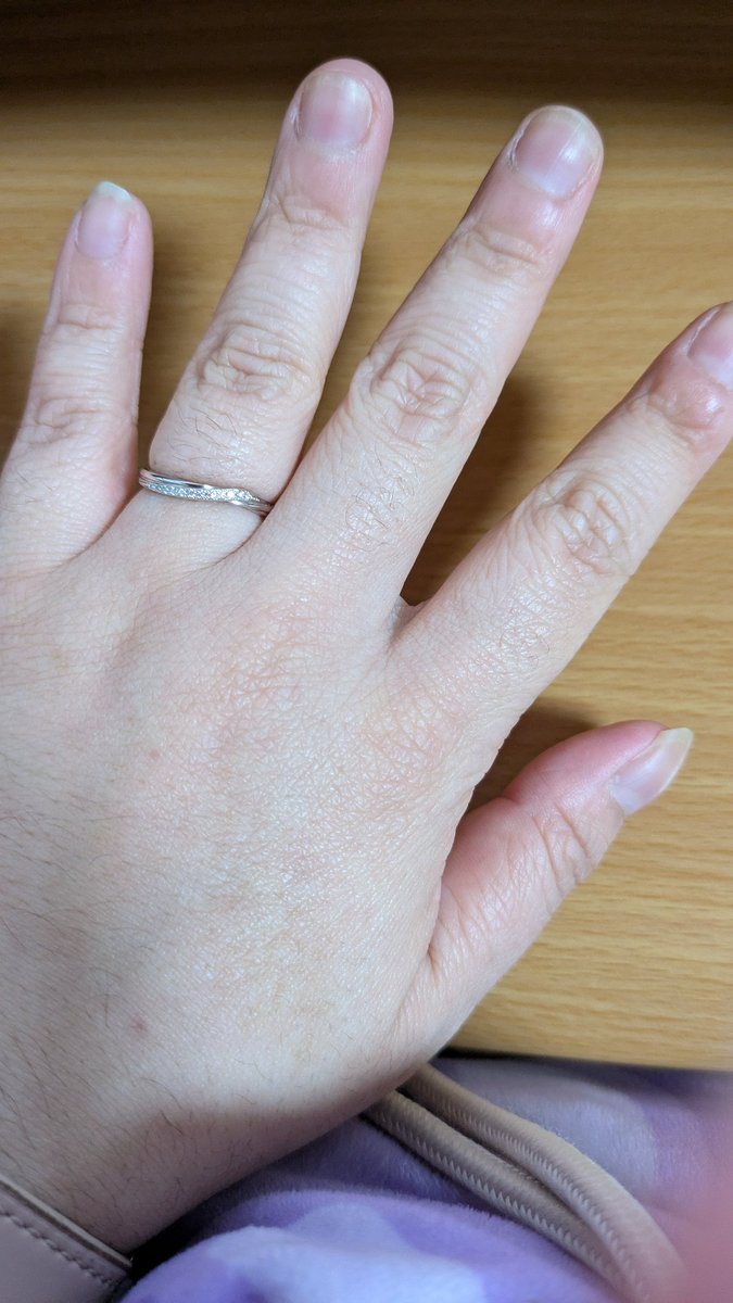 くろの・たいむ@姫路近郊電車区 tweet media