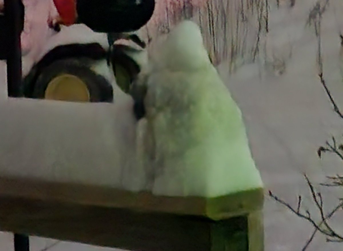AbilityEnabler's tweet image. 2:34am.... then 5:30am 
#GotSnow❄️ #snow
Got Gnome Snow 🤍😀