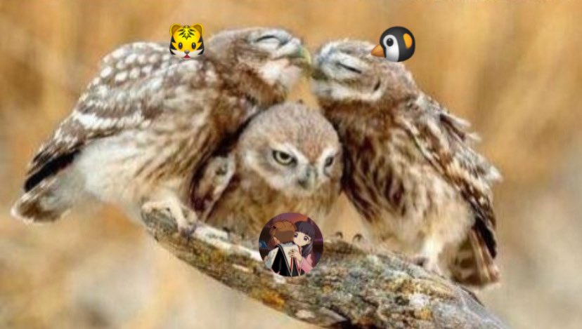 5번걍이렇게될거같은대