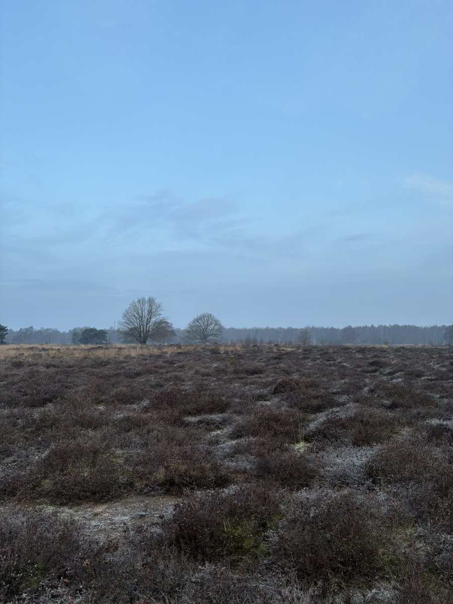 08.30 uur Zondagochtendrondje #holger #GroevenbeekseHeide #Ermelo #pp