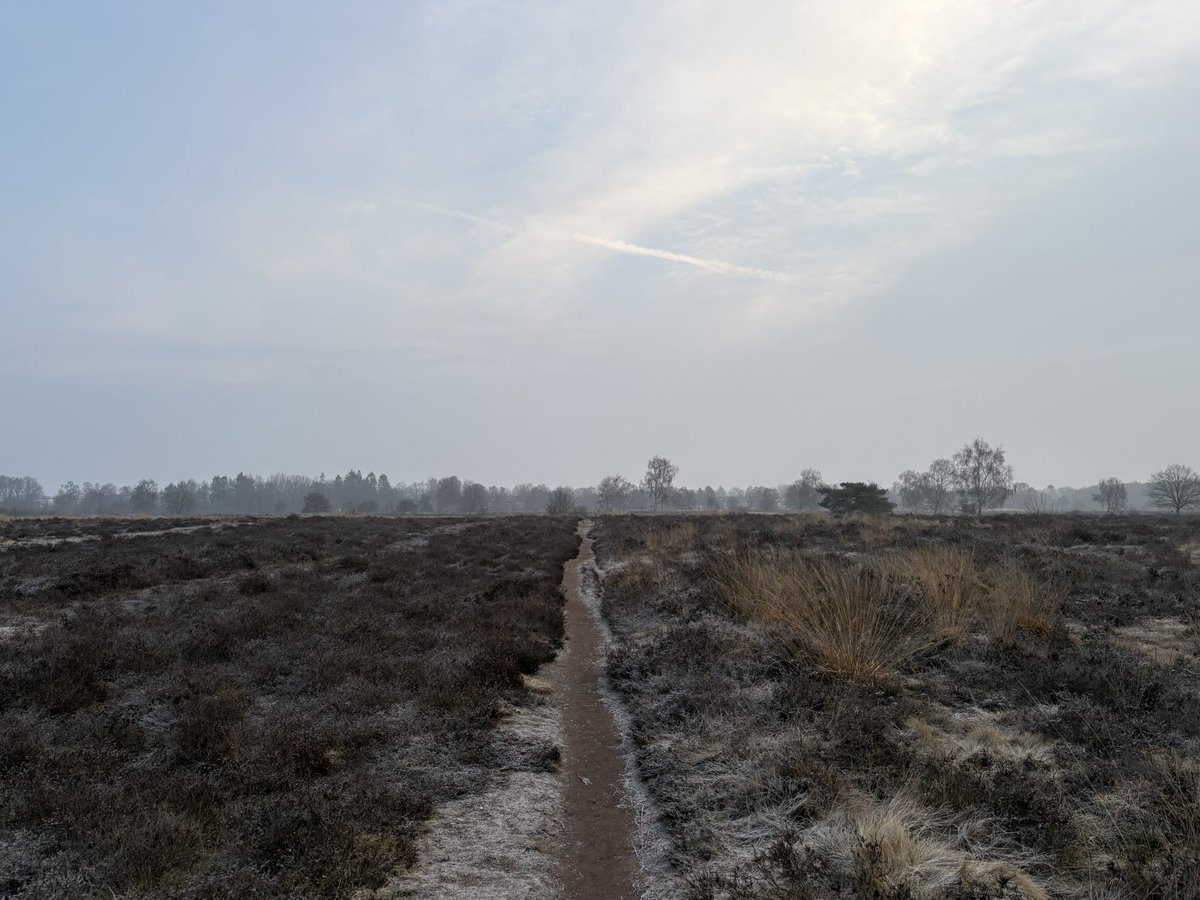 08.30 uur Zondagochtendrondje #GroevenbeekseHeide #Ermelo #pp