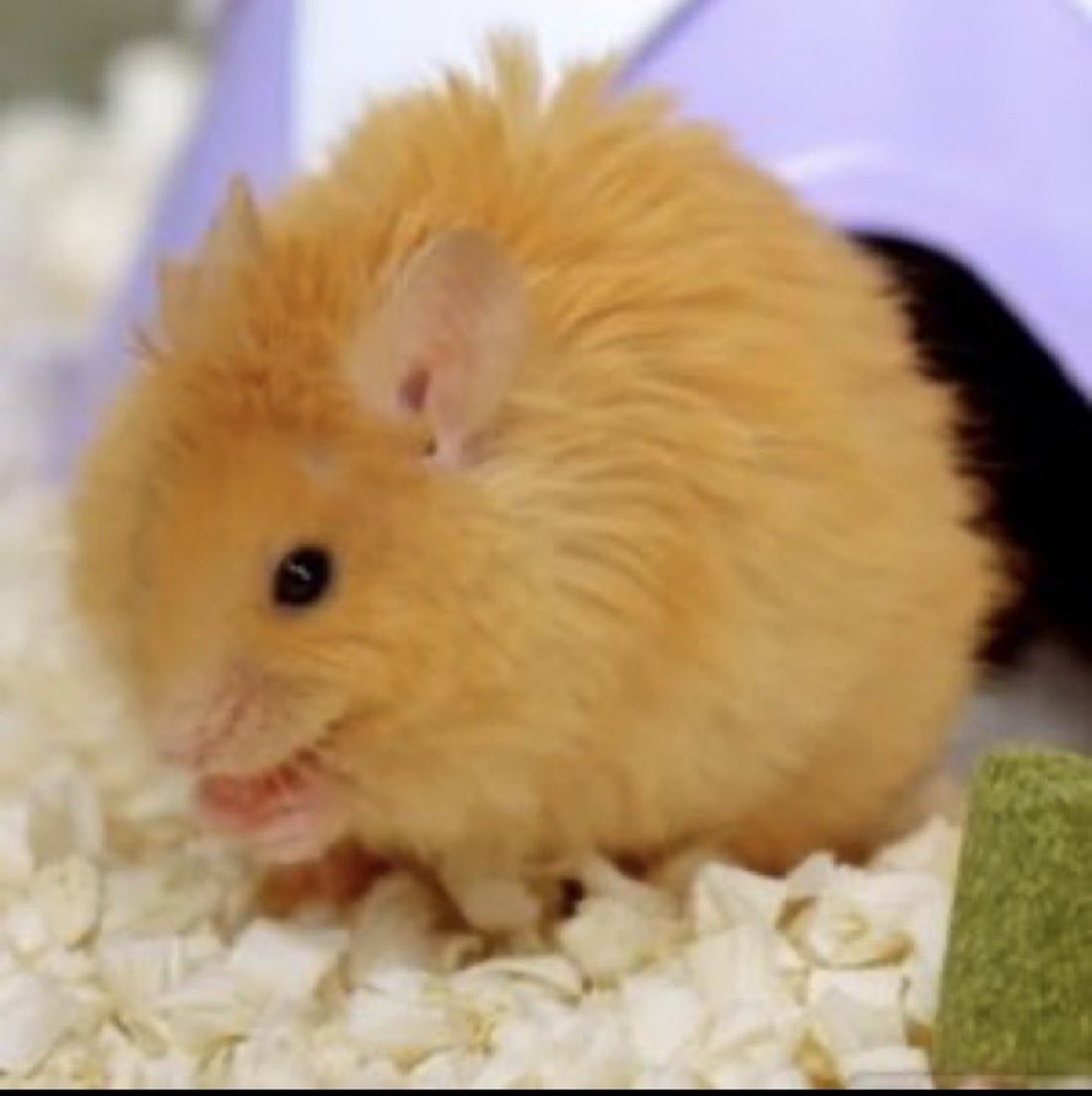 $DALE has a great narrative.