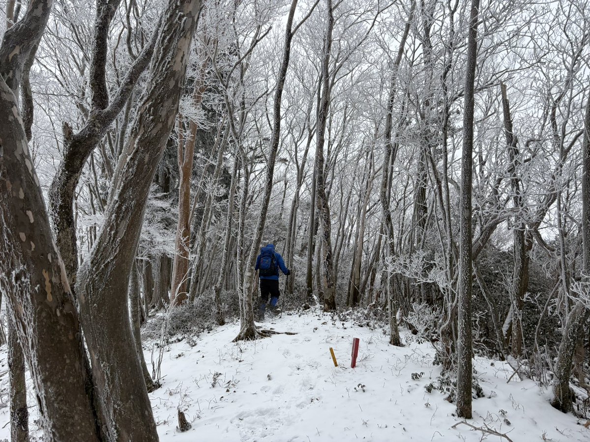 gen607's tweet image. 雪が降らない浜松の雪