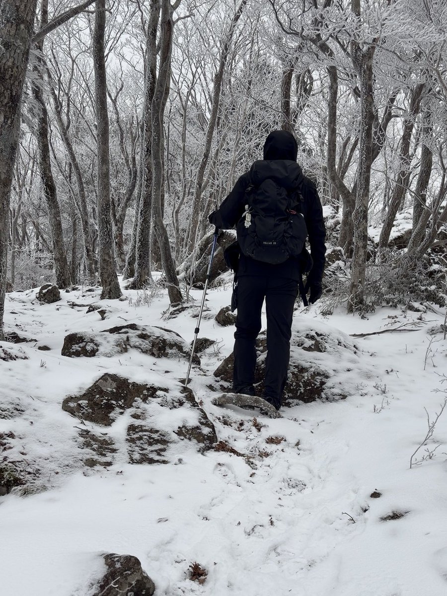 gen607's tweet image. 雪が降らない浜松の雪