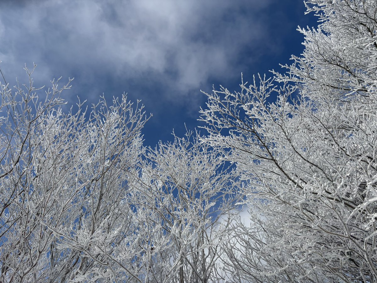 gen607's tweet image. 雪が降らない浜松の雪