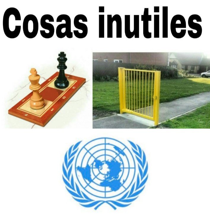 vir scabbio 🐈🧡 (@virscabbio) on Twitter photo 