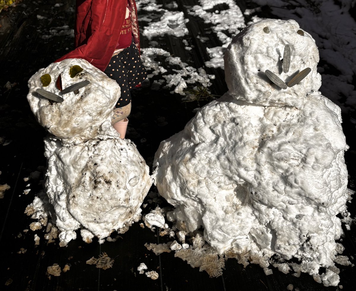 2歳児よりも6歳児よりも
珍しい雪で楽しんでた38歳✨