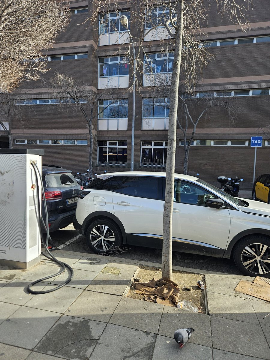 Sergi 🎗 tweet media