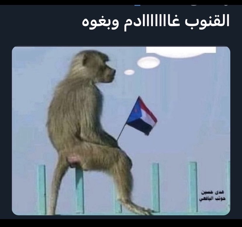 askra1882's tweet photo. @salh1231990 عيدروس احسن https://t.co/vCTAkKutsa