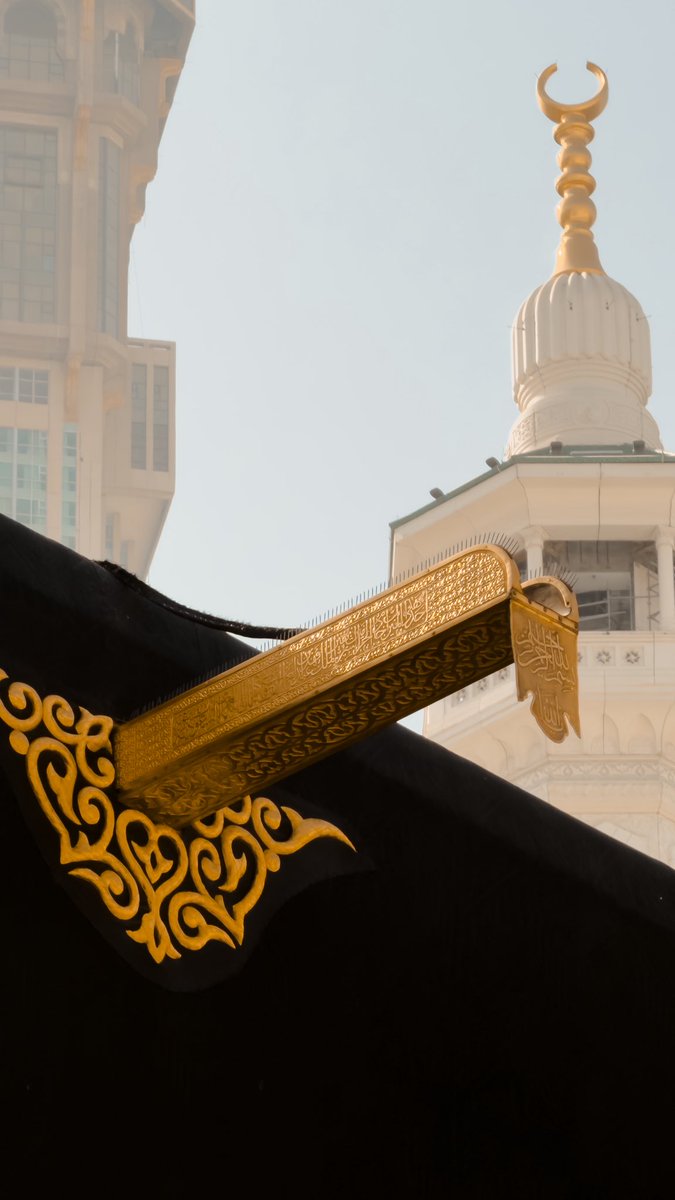 هزاع. tweet media