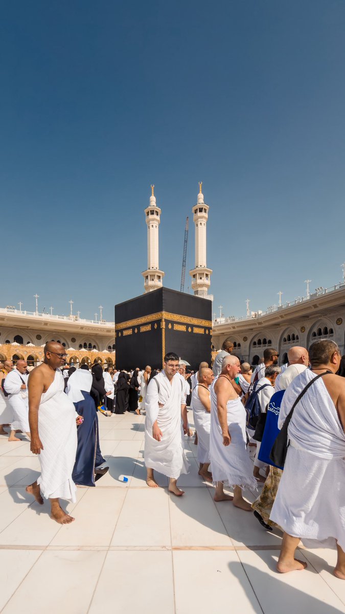 هزاع. tweet media