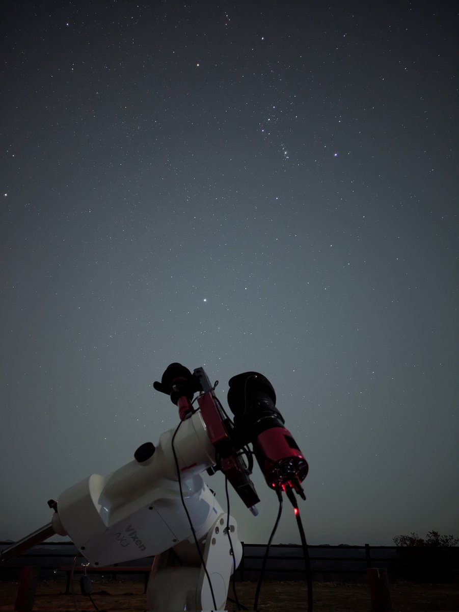 青色蝶々 (@blue_9r) / Posts / X