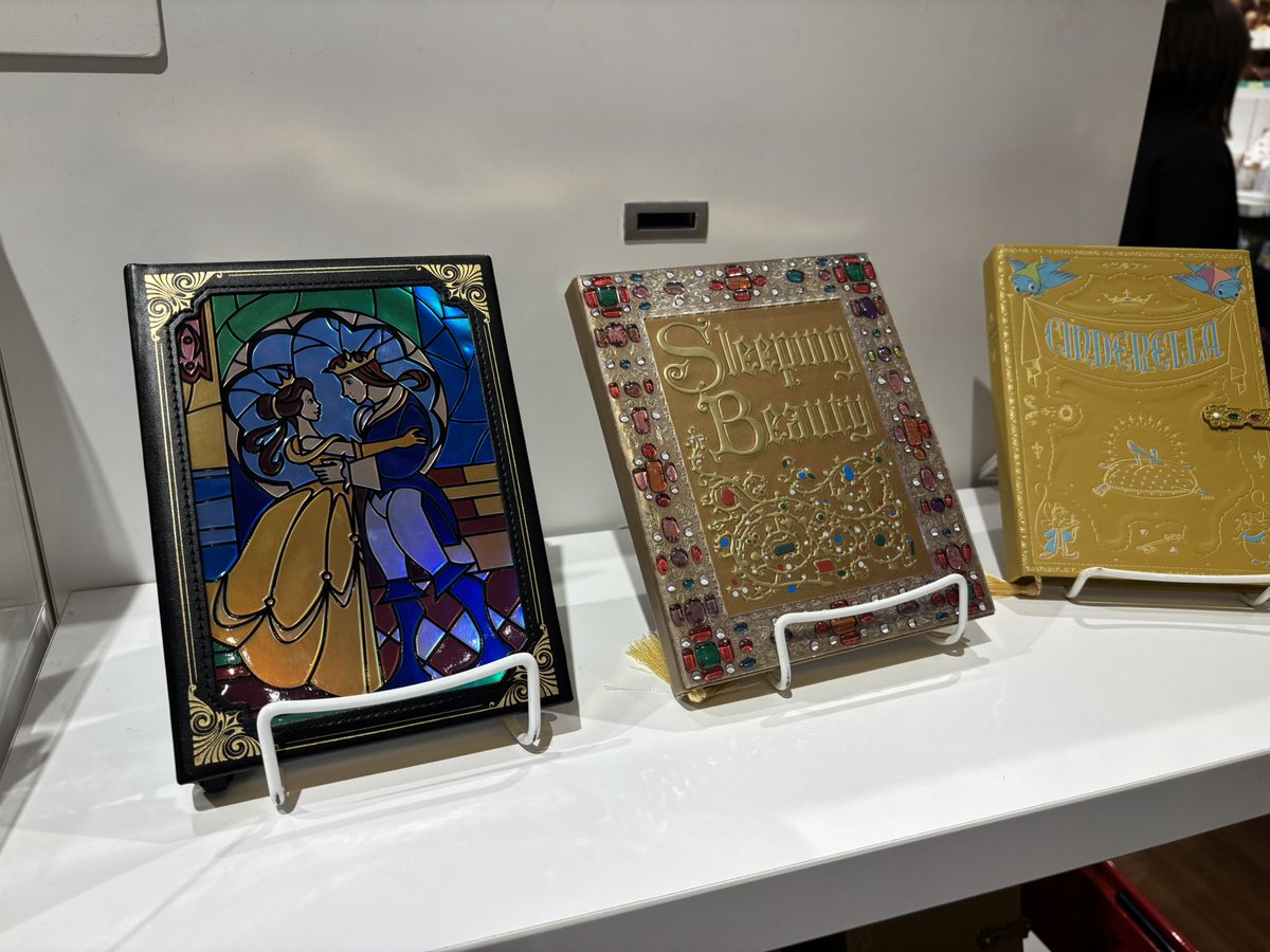 ディズニーストアで眠れる森の美女の素敵なノートを発見したので買って