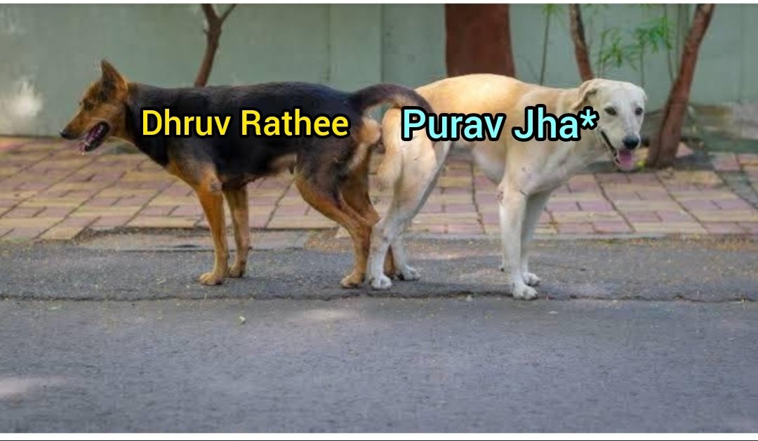 Well Well Well 🤡🤣