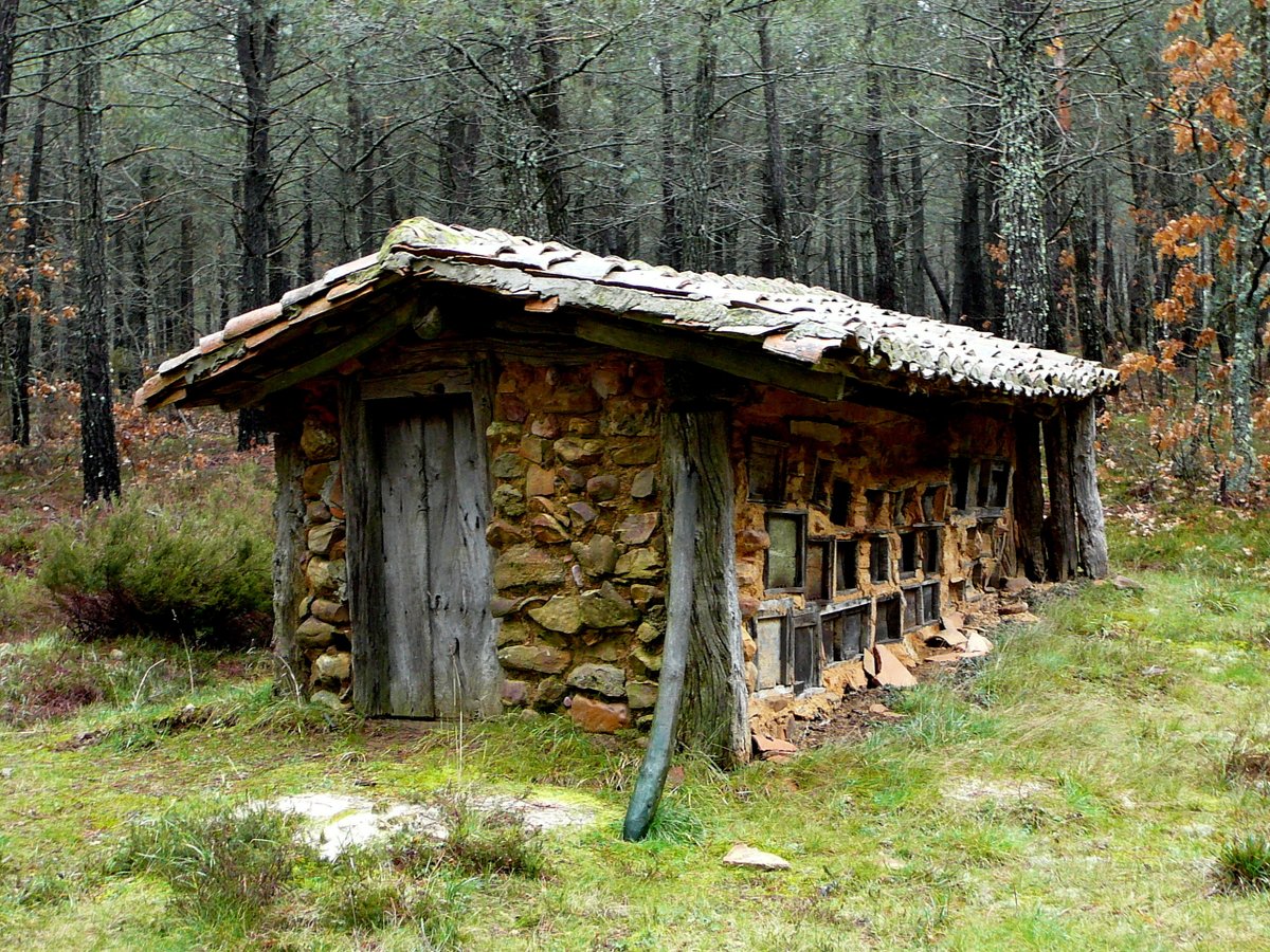 La Valdavia es una comarca dulce. Dulce de nombre, de paisajes y de mieles. Hay colmenares por donde se quiera andar, y son tantos y tan bonitos que a uno le da la sensación de estar en la tierra en la que nacieron las abejas.

Para <a href="/BorjaBarba/">Borja Barba</a>. Colmenar en Congosto de Valdavia.