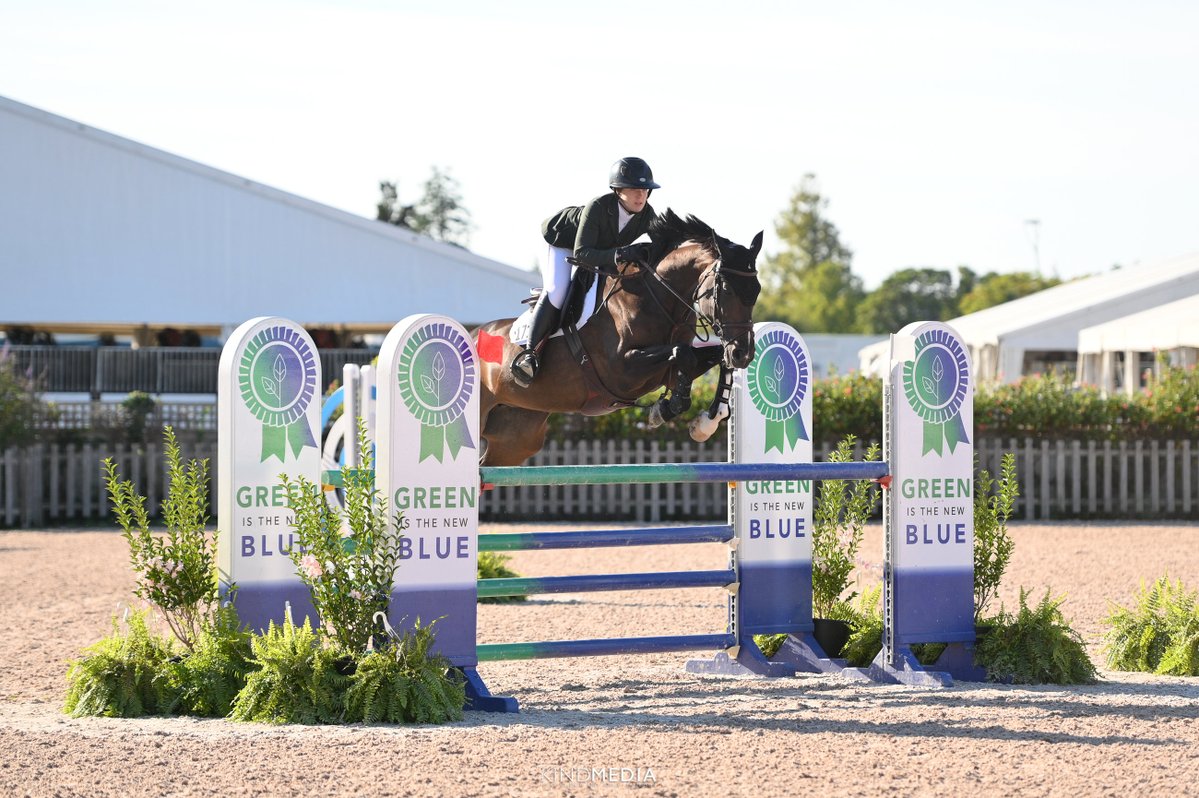 I have the kindest mare looking for a 1.20 &amp; below job! 13y/o mare by Diarado, easy as they come, shows in a loose ring with no prep, will take a joke all day long. Amateur miles through 1.40 in Europe, has been showing in the low amateur’s stateside Mid… dlvr.it/TQYFgL