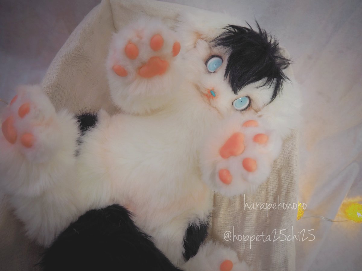 ハラペコ (@hoppeta25chi25) / Posts / X