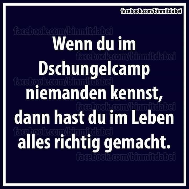 Christel Hanauer (@christelhanauer) on Twitter photo 